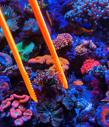 Pinza per Acquario e Coralli X-Tweezer