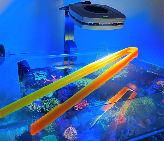 X-Tweezer limited Bicolor only 2 pieces